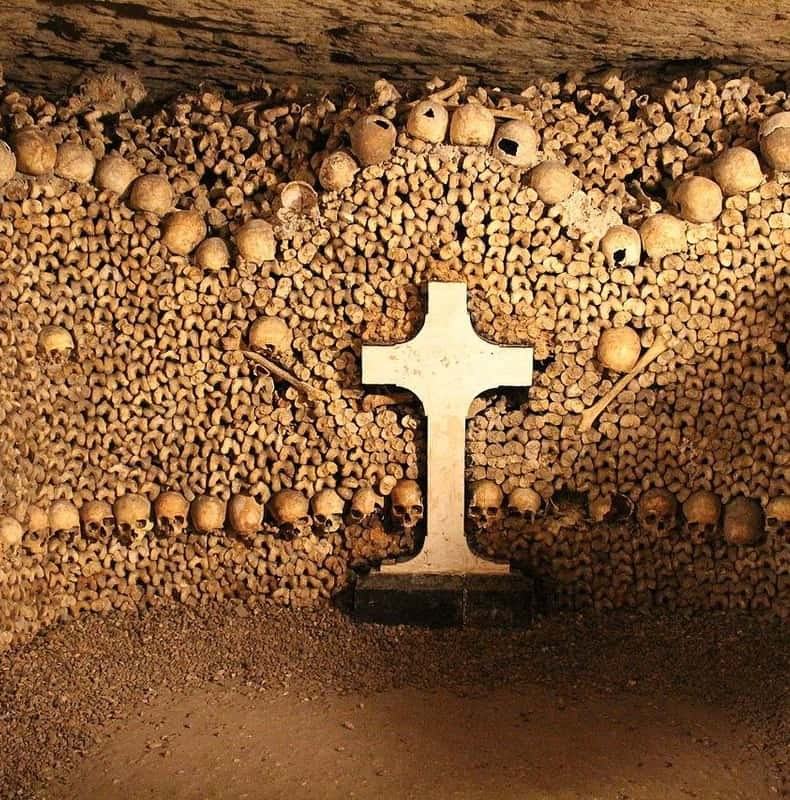 Paris Catacombs Entry & Seine River Cruise with Audio Guide