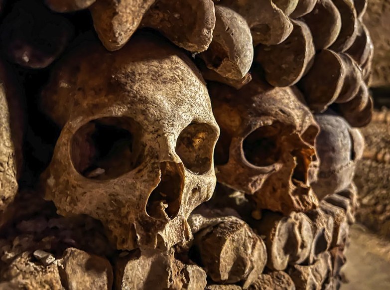 Skulls set into a course of stacked
leg bones in the Paris Catacombs