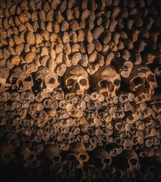 Close-up of a wall of skulls and leg bones in the Paris Catacombs under warm light